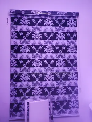 Blind Window Curtain