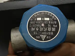 Steam Trap One Inch