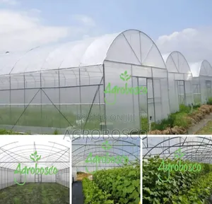 Greenhouse