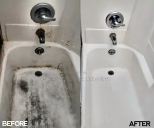 Deep Bathroom Wash and General House and Office Keeping