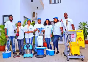 Roof, Floor ,Wall and General Residence and Office Cleaning
