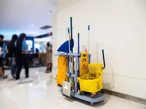Deborah Home Maintenance and Professional Clean Up