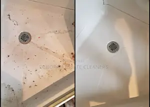 Nigeria's Numbe One Cleaning Service