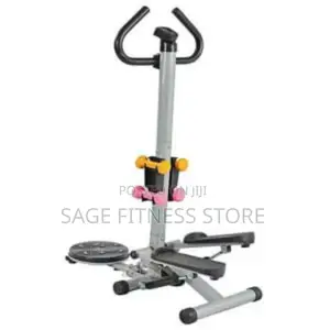 Fitness Standing Stepper With Body Twister