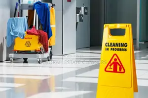 Professional and Well Trained Cleaners for Office and Home