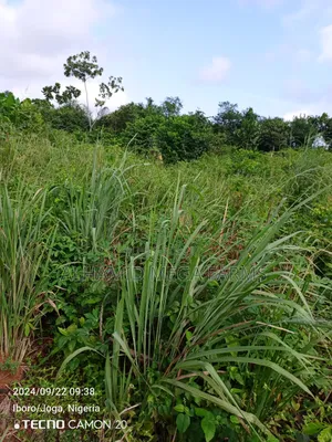 300 Acres of Farmland for Sale at 350,000 Per Acre