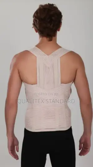 Advanced Lumbar and Back Support