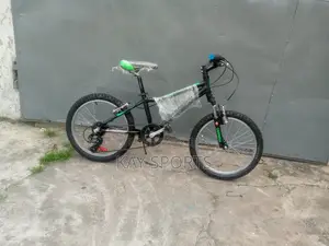 Carrera Children Bicycle 20 Inch