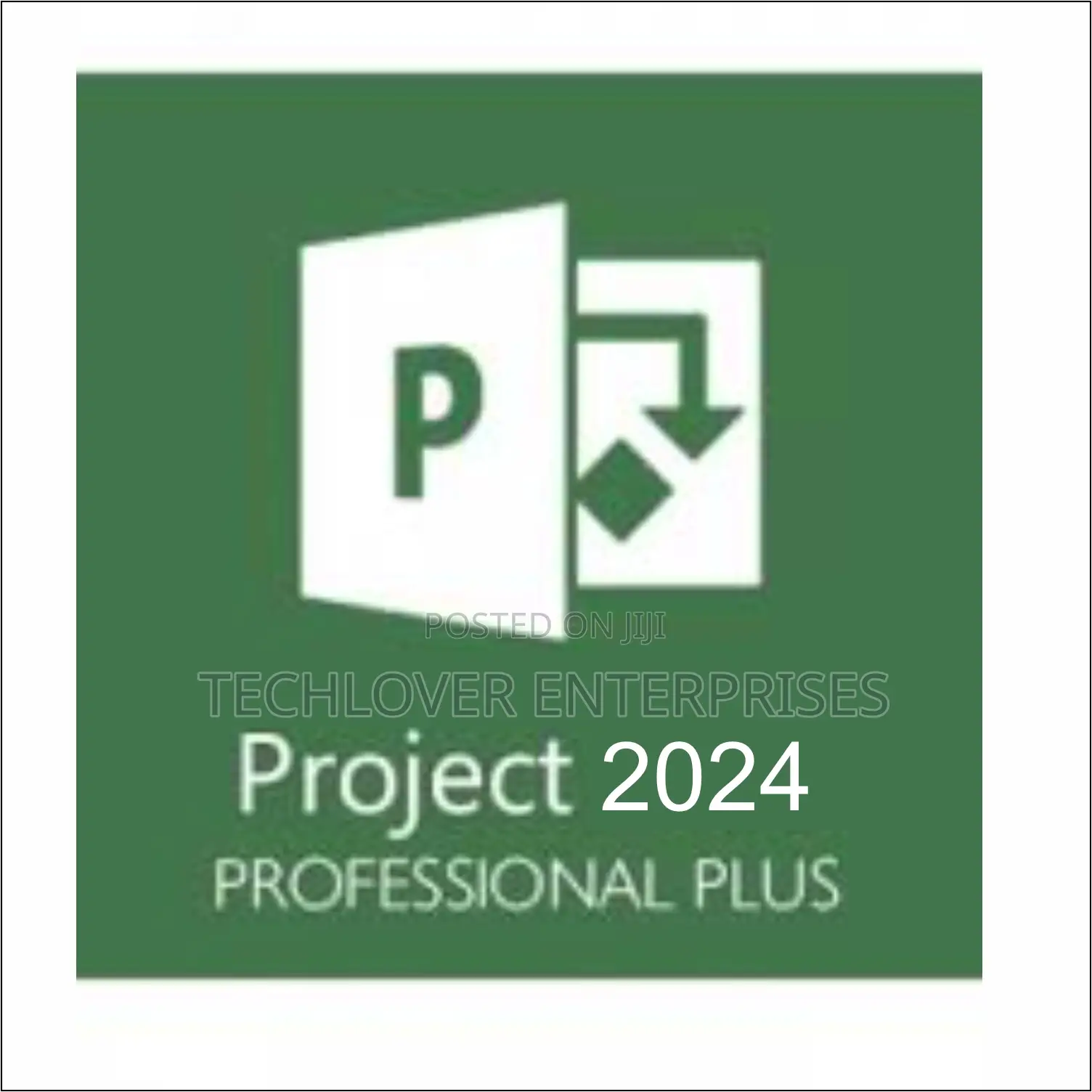Project 2024 Professional Bind