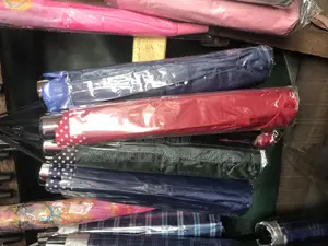 Hand Portable Umbrella