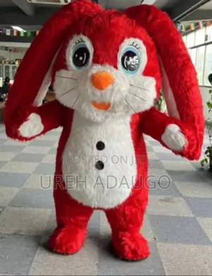 Rabbit Costume