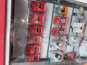 San Disk Memory Card and Flash.