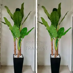 Artificial Three Stems Banana Tree With Fiber Glass Pot