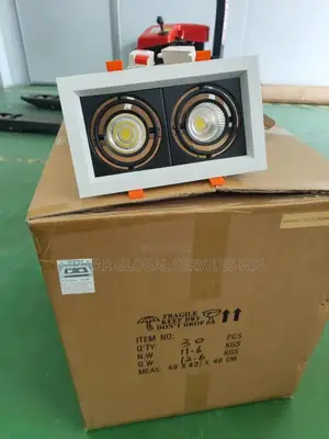 Double Spot Recessed Light...