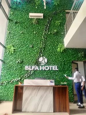 Boxwood Wall Mat for Beautification