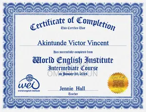 Online English Teacher