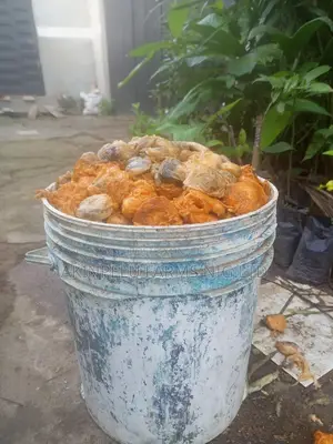 UGU SEED-20 Litre Bucket