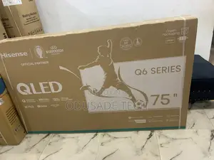 Entertainment Hub Hisense 75-Inch Qled Tv-75q6n (Q6 Series)