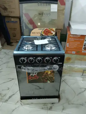 Family-Sized Nexus 3+1 Electric Gas Cooker(Nx-5055)