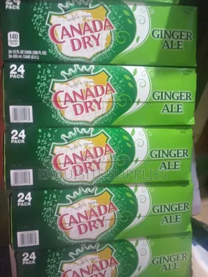 Canada Dry Ginger Ale (Pack of 12)