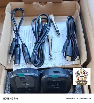 Professional Wireless In Ear Monitor