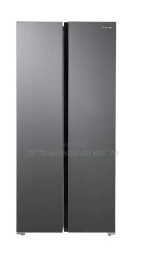 Hisense Side by Side Refrigerator-Ref55ws