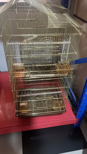 Gold Bird Parrot Cage