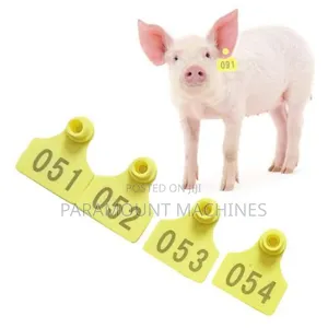 Pig Ear Tag
