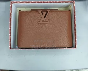 Louis Vuitton Luxury Ladies Handbags