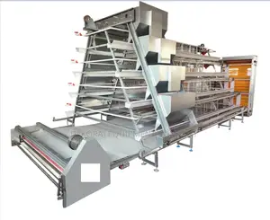 Automated Battery Cage for Layers ,Broiler ,Day Old Cage