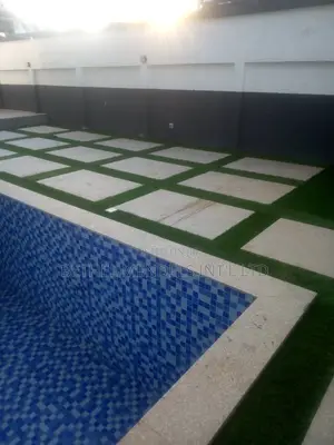 Quality Artificial Carpet Grass for Sale and Installation