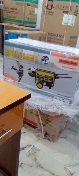 Senwei Portable Generator -Sv6200e2
