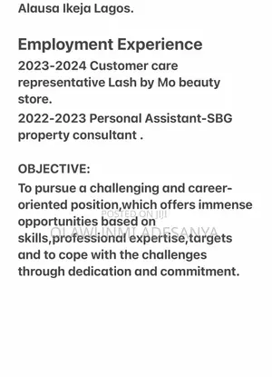 Sales Manager