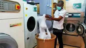 Professional Home Service Dry Cleaner