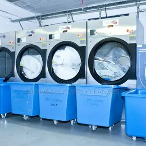 Perfect Wash and Iron in Your Own Home