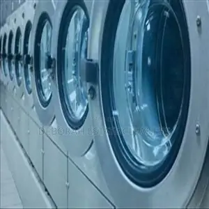 Professional Laundry Service in Your Home