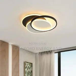 Decorative Ceiling Mounted Light