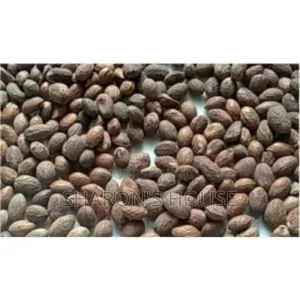 Miracle Seed/ Ghana Seed