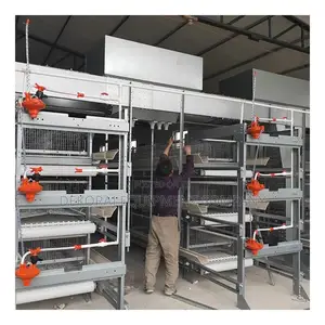 Automated Chicken Cages Dealer With Auto Feeding,Cleaning