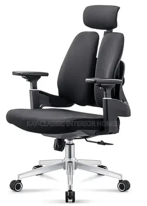 Egonomic Swivel Chair