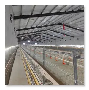 Automated Cage for 50,000 Broiler Capacity (Fast Result)