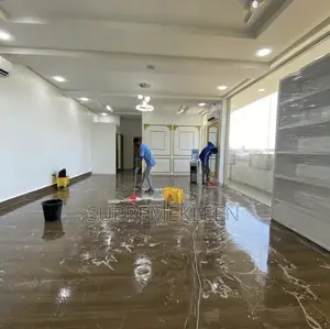 Industrial Professional Cleaning Fumigation Services