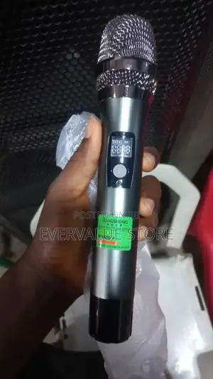 Professional Wireless Microphone