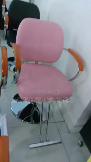 Salon Chairs