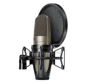 Shure KSM42-SG KSM42/SG Large Dual-Diaphragm Side-Address