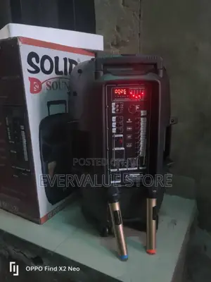 15 Inches Portable Speaker