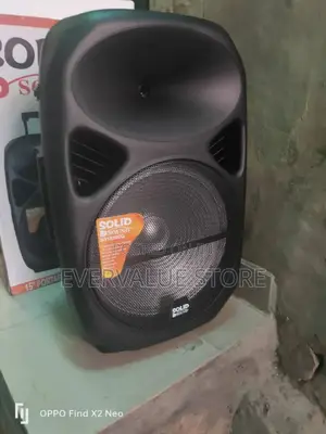 Super Quality 15 Inches Solid Sound Portable Speaker