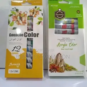 Acrylic Paint X 12 Colors