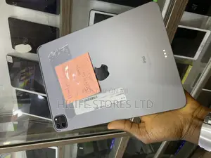 Apple iPad Pro 11 (2021) 256 GB Gray