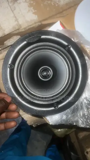 Ceiling Speakers / P O P Speaker